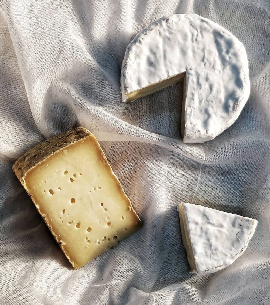 The spotted cow fromagerie homegrown cheese brands india