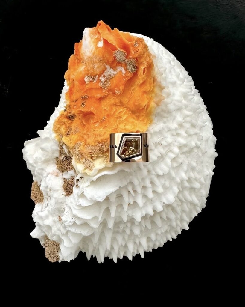 Dezso by Sara Beltrán